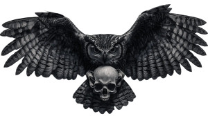 Owl With Skull Vinyl Car Decal Sticker – Waterproof & UV-Resistant 8" Owl With Skull Vinyl Car Decal Sticker – Waterproof & UV-Resistant 8"
