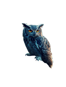 Owl Night Vinyl Car Decal Sticker – Waterproof & UV-Resistant 8" Owl Night Vinyl Car Decal Sticker – Waterproof & UV-Resistant 8"