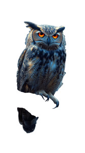 Majestic Owl Perched V2 Vinyl Car Decal Sticker – Waterproof & UV-Resistant 8" Majestic Owl Perched V2 Vinyl Car Decal Sticker – Waterproof & UV-Resistant 8"