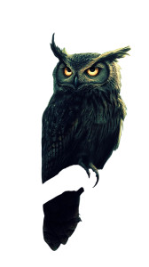 Majestic Night Owl Vinyl Car Decal Sticker – Waterproof & UV-Resistant 8"