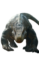 Megalania Predator Vinyl Car Decal Sticker – Waterproof & UV-Resistant 8"