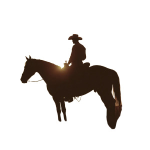 Cowboy Silhouette Vinyl Car Decal Sticker – Waterproof & UV-Resistant 8" Cowboy Silhouette Vinyl Car Decal Sticker – Waterproof & UV-Resistant 8"