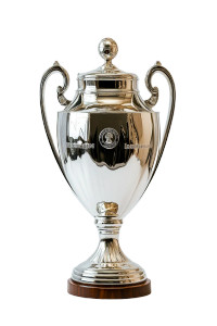 Silver Trophy Vinyl Car Decal Sticker – Waterproof & UV-Resistant 8"