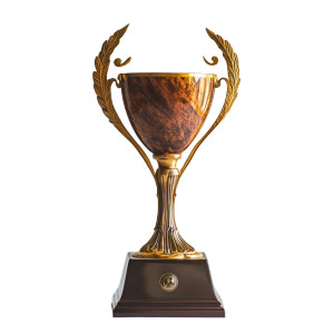 Award Trophy Vinyl Car Decal Sticker – Waterproof & UV-Resistant 8" Award Trophy Vinyl Car Decal Sticker – Waterproof & UV-Resistant 8"