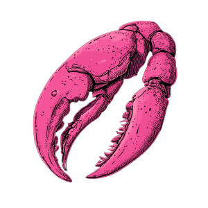 Pink Lobster Claw Vinyl Car Decal Sticker – Waterproof & UV-Resistant 8" Pink Lobster Claw Vinyl Car Decal Sticker – Waterproof & UV-Resistant 8"