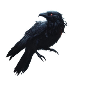 Mysterious Raven Vinyl Car Decal Sticker – Waterproof & UV-Resistant 8" Mysterious Raven Vinyl Car Decal Sticker – Waterproof & UV-Resistant 8"