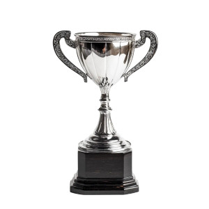 Trophy On White Vinyl Car Decal Sticker – Waterproof & UV-Resistant 8"