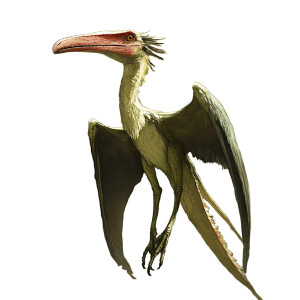 Pterosaur Bird Dinosaur Vinyl Car Decal Sticker – Waterproof & UV-Resistant 8"