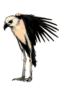 Hawk Features Vinyl Car Decal Sticker – Waterproof & UV-Resistant 8"