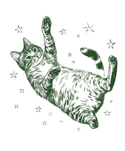 Stylized Cat Illustration Vinyl Car Decal Sticker – Waterproof & UV-Resistant 8" Stylized Cat Illustration Vinyl Car Decal Sticker – Waterproof & UV-Resistant 8"