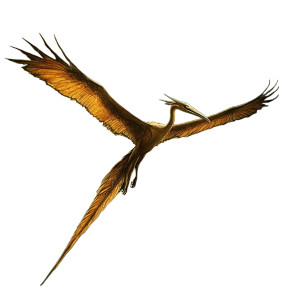Soaring Quetzalcoatlus Vinyl Car Decal Sticker – Waterproof & UV-Resistant 8" Soaring Quetzalcoatlus Vinyl Car Decal Sticker – Waterproof & UV-Resistant 8"