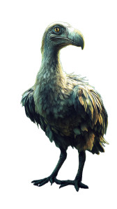 Dodo Bird V2 Vinyl Car Decal Sticker – Waterproof & UV-Resistant 8" Dodo Bird V2 Vinyl Car Decal Sticker – Waterproof & UV-Resistant 8"