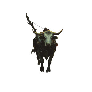 Mysterious Armed Cow Vinyl Car Decal Sticker – Waterproof & UV-Resistant 8"