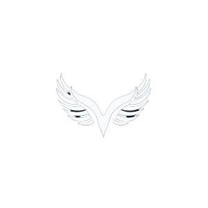 Minimalist Angel Wings Vinyl Car Decal Sticker – Waterproof & UV-Resistant 8" Minimalist Angel Wings Vinyl Car Decal Sticker – Waterproof & UV-Resistant 8"