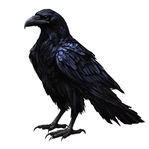 Black Raven Vinyl Car Decal Sticker – Waterproof & UV-Resistant 8"