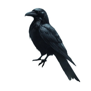 Thief'S Raven Vinyl Car Decal Sticker – Waterproof & UV-Resistant 8"