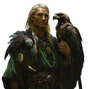 Elf Druid Priest Vinyl Car Decal Sticker – Waterproof & UV-Resistant 8"