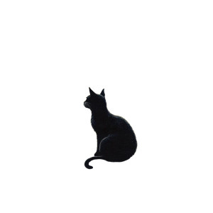 Cat On Moon V6 Vinyl Car Decal Sticker – Waterproof & UV-Resistant 8"