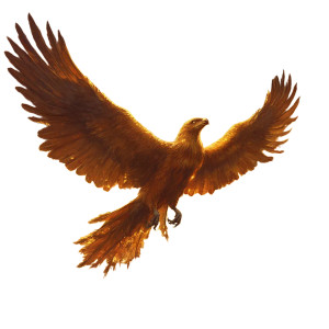 Phoenix Vinyl Car Decal Sticker – Waterproof & UV-Resistant 8" Phoenix Vinyl Car Decal Sticker – Waterproof & UV-Resistant 8"