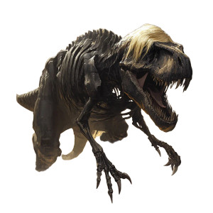 Skeletal T-Rex Vinyl Car Decal Sticker – Waterproof & UV-Resistant 8" Skeletal T-Rex Vinyl Car Decal Sticker – Waterproof & UV-Resistant 8"
