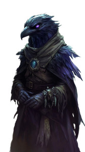 Kenku Druid Vinyl Car Decal Sticker – Waterproof & UV-Resistant 8"