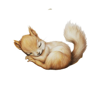 Sleeping Squirrel Moon Vinyl Car Decal Sticker – Waterproof & UV-Resistant 8"