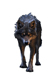 Angry Dire Wolf V2 Vinyl Car Decal Sticker – Waterproof & UV-Resistant 8"