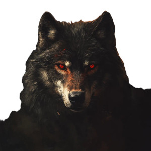 Piercing Wolf Portrait Vinyl Car Decal Sticker – Waterproof & UV-Resistant 8"