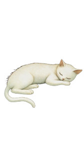 Surreal Sleeping Cat Vinyl Car Decal Sticker – Waterproof & UV-Resistant 8" Surreal Sleeping Cat Vinyl Car Decal Sticker – Waterproof & UV-Resistant 8"