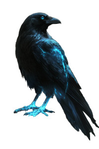 Blue Energy Raven Vinyl Car Decal Sticker – Waterproof & UV-Resistant 8"