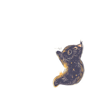 Vintage Kitten Moon Vinyl Car Decal Sticker – Waterproof & UV-Resistant 8" Vintage Kitten Moon Vinyl Car Decal Sticker – Waterproof & UV-Resistant 8"