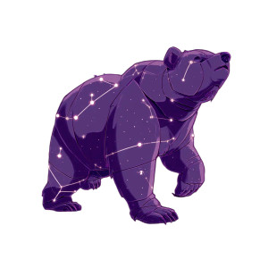 Celestial Bear Pokémon Vinyl Car Decal Sticker – Waterproof & UV-Resistant 8"