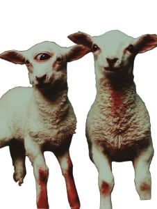 Two-Headed Lamb Vinyl Car Decal Sticker – Waterproof & UV-Resistant 8"