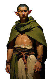 Elf Monk D&D Vinyl Car Decal Sticker – Waterproof & UV-Resistant 8"