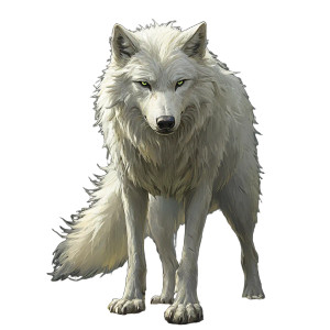 Proud White Wolf Vinyl Car Decal Sticker – Waterproof & UV-Resistant 8"