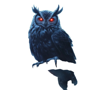 Dark-Feathered Owl Vinyl Car Decal Sticker – Waterproof & UV-Resistant 8"