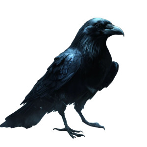 Mystical Raven Vinyl Car Decal Sticker – Waterproof & UV-Resistant 8" Mystical Raven Vinyl Car Decal Sticker – Waterproof & UV-Resistant 8"