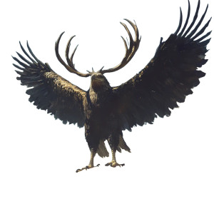 Roc Eagle Antlers Vinyl Car Decal Sticker – Waterproof & UV-Resistant 8"