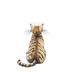 Tabby Cat Stars Vinyl Car Decal Sticker – Waterproof & UV-Resistant 8"