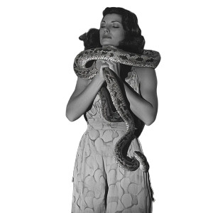 Woman And Snake Vinyl Car Decal Sticker – Waterproof & UV-Resistant 8" Woman And Snake Vinyl Car Decal Sticker – Waterproof & UV-Resistant 8"