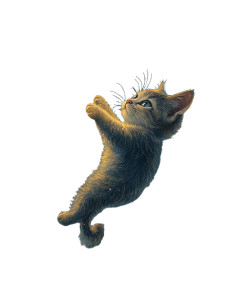 Mischievous Moon Cat V2 Vinyl Car Decal Sticker – Waterproof & UV-Resistant 8"