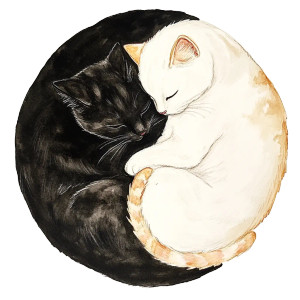 Yin Yang Cats V2 Vinyl Car Decal Sticker – Waterproof & UV-Resistant 8"