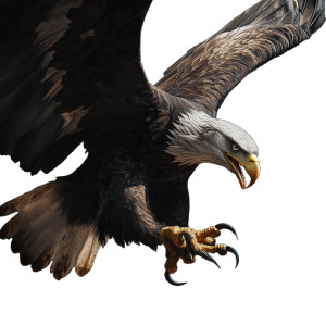Grasping Eagle Vinyl Car Decal Sticker – Waterproof & UV-Resistant 8"