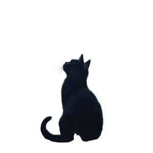 Mystic Cat Moon Vinyl Car Decal Sticker – Waterproof & UV-Resistant 8"