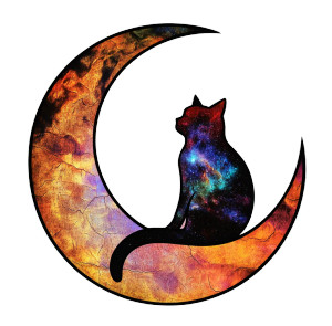 Moon Cat Silhouette Vinyl Car Decal Sticker – Waterproof & UV-Resistant 8"