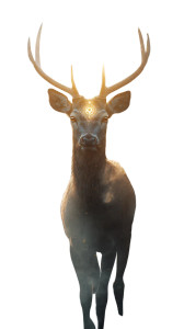 Sacred Divine Deer Vinyl Car Decal Sticker – Waterproof & UV-Resistant 8"