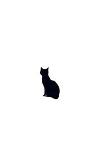 Black Cat Moon V7 Vinyl Car Decal Sticker – Waterproof & UV-Resistant 8"