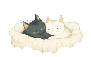 Whimsical Sleeping Cats Vinyl Car Decal Sticker – Waterproof & UV-Resistant 8"