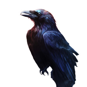 Dynamic Raven Illustration Vinyl Car Decal Sticker – Waterproof & UV-Resistant 8"