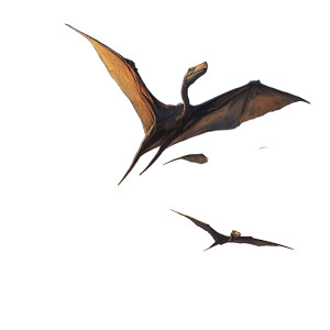 Pteranodons Vinyl Car Decal Sticker – Waterproof & UV-Resistant 8" Pteranodons Vinyl Car Decal Sticker – Waterproof & UV-Resistant 8"